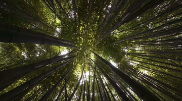 Constructor Sustainability Report - 2025