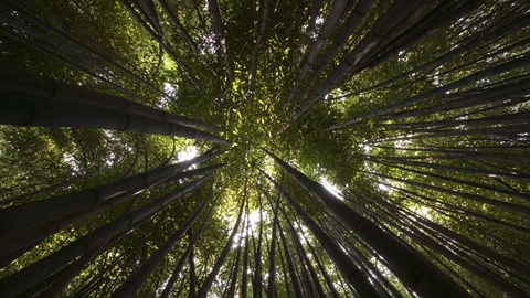 Constructor Sustainability Report - 2025